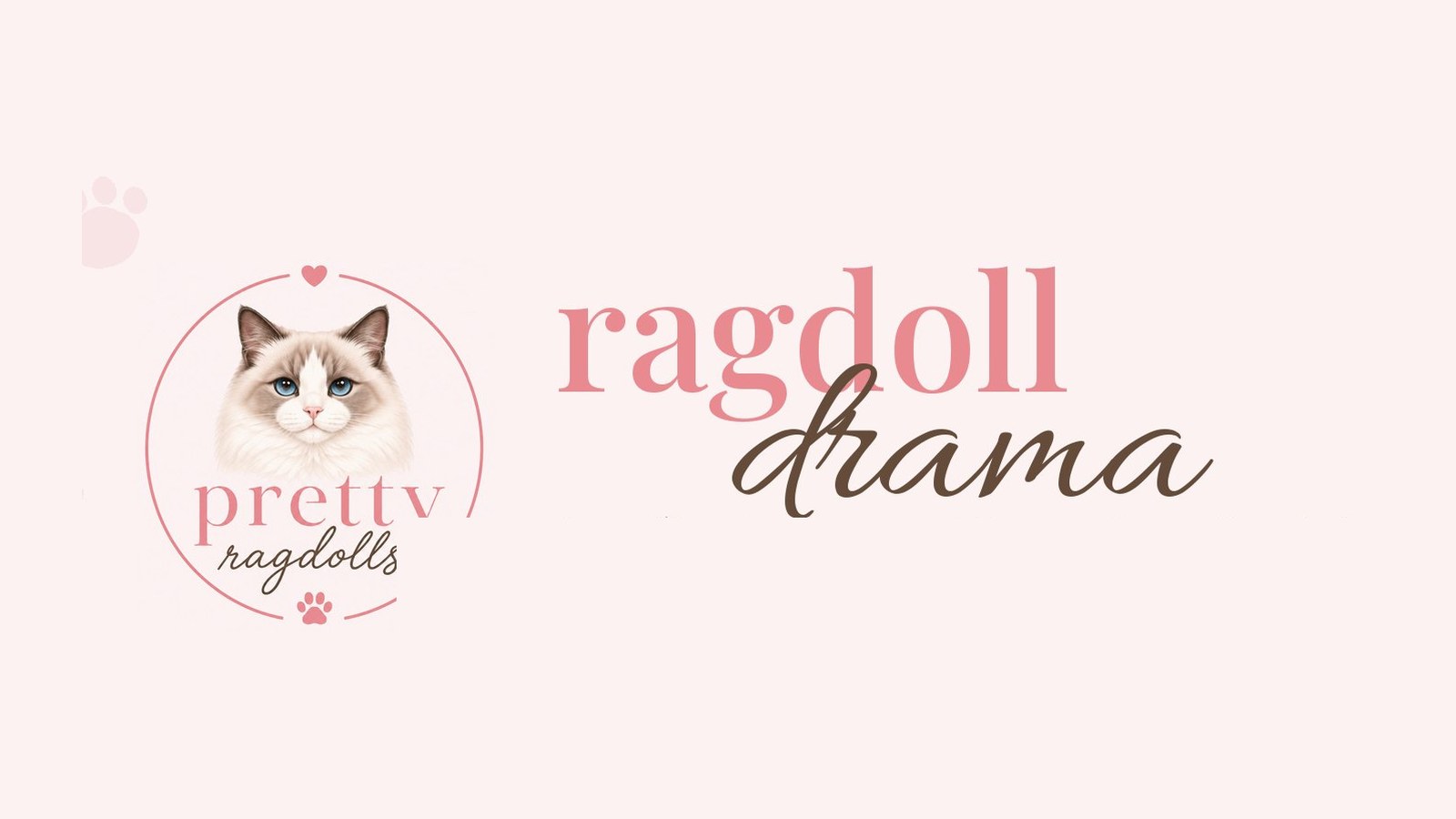 Ragdoll Drama