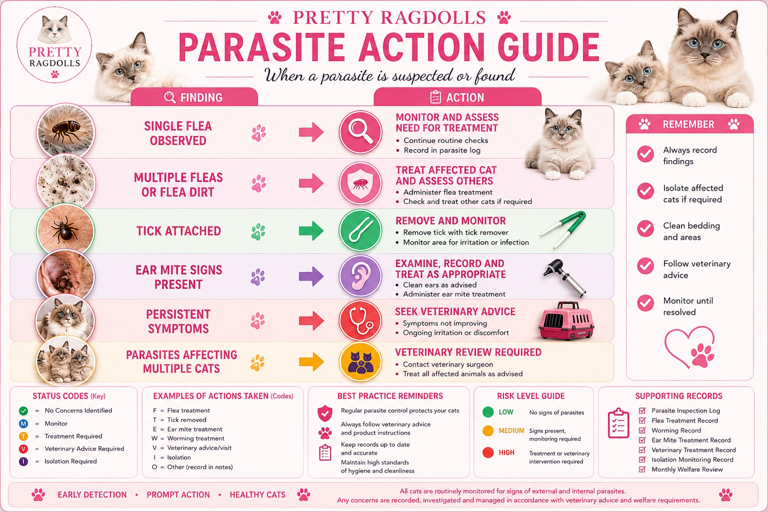 Pretty Ragdolls Parasite Action Guide, pairing each finding such as a single flea, multiple fleas, an attached tick, ear mite signs or persistent symptoms with the action to take, plus status codes, risk levels and record keeping reminders