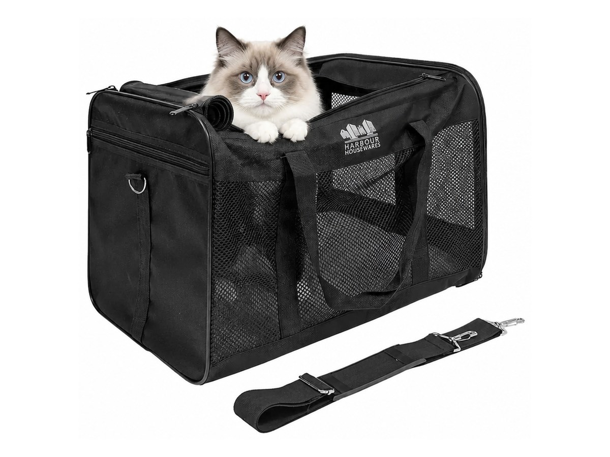 Harbour Housewares foldable soft sided cat carrier in black with mesh panels, with a blue eyed Ragdoll looking out of the top opening