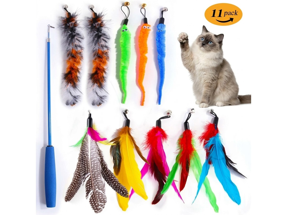 Eleven piece feather wand teaser set with telescopic rod, feather and bell attachments, and a Ragdoll cat looking on